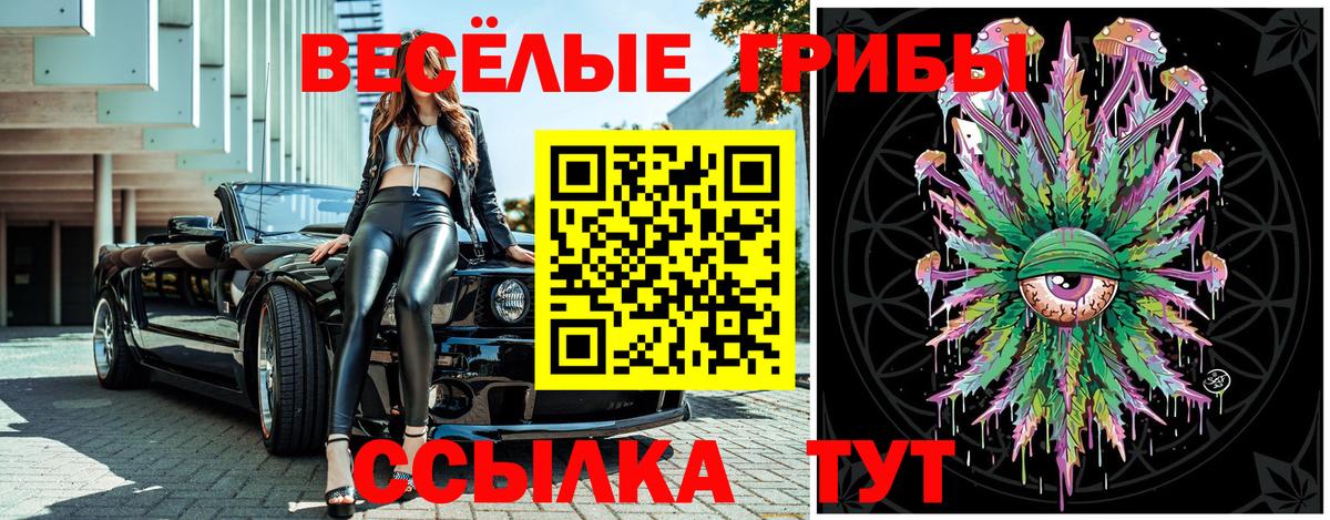 Галлюциногенные грибы прущие грибы Железногорск