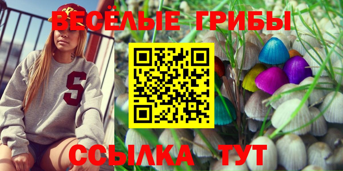 Железногорск  Галлюциногенные грибы GOLDEN TEACHER  Псилоцибиновые грибы Psilocybe  цена наркотик  Вход с VPN 